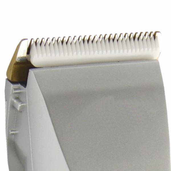 Short Hairs Proedger