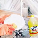 SHANTI DETERGENTS